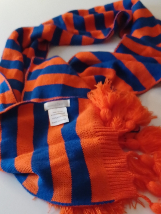 Charming Charlie Accessories - Blue And Orange Charming Charlie Winter Scarf 70" Go GATORS